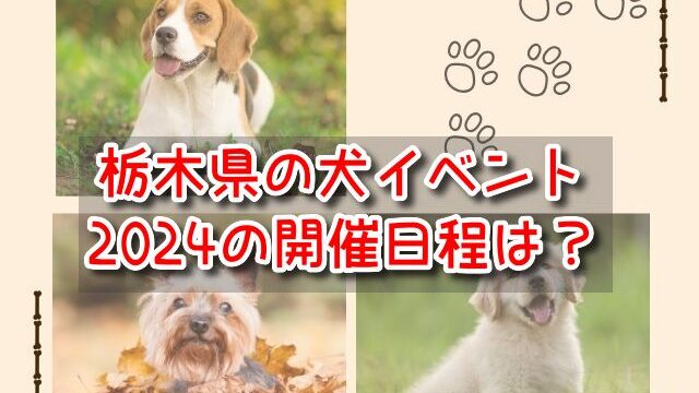 栃木県　犬イベント